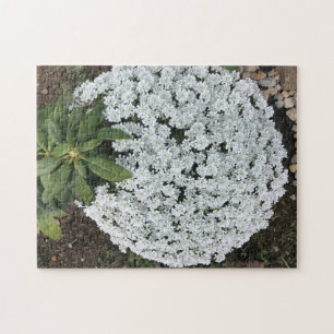 Rhododendron Löv Candy Tufts Flowers Puzzles Pussel