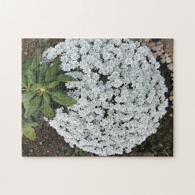 Rhododendron Löv Candy Tufts Flowers Puzzles Pussel (Horisontell)