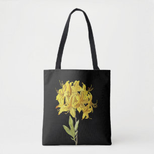Rhododendron luteum (Pontic Azalea) Tygkasse