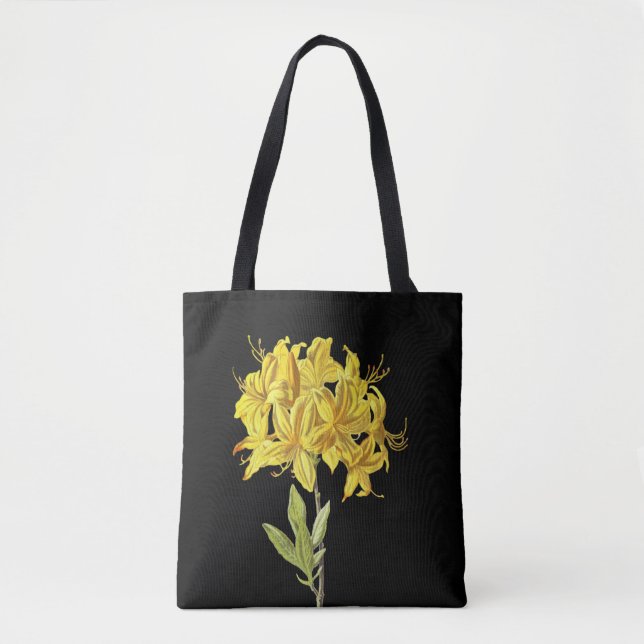 Rhododendron luteum (Pontic Azalea) Tygkasse (Framsida)