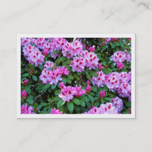 Rhododendron, minifotokort visitkort