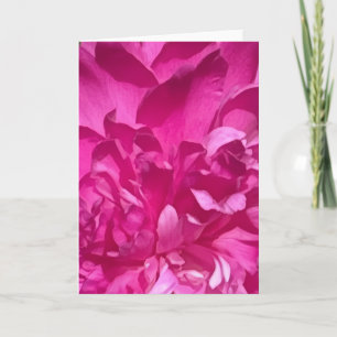 Rhododendron närbild blomma växt foto kort