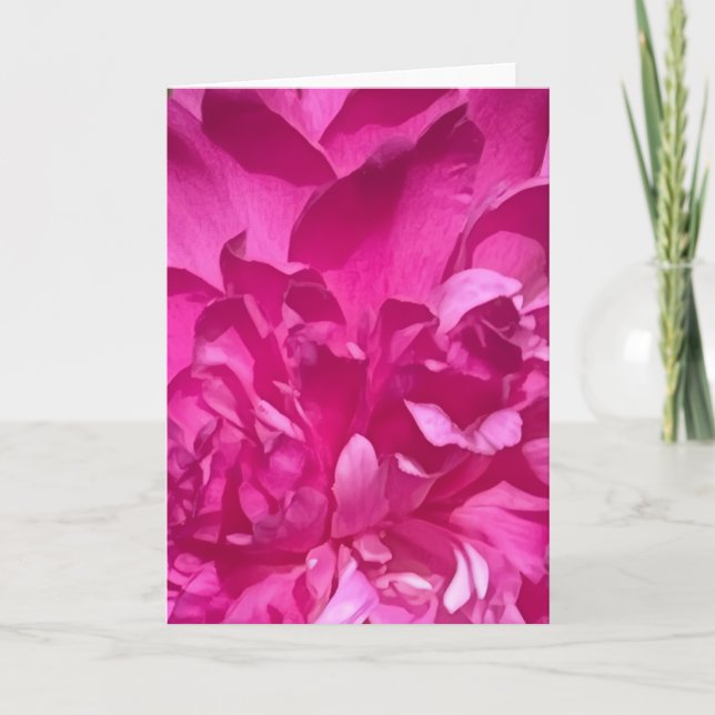 Rhododendron närbild blomma växt foto kort (Framsida)