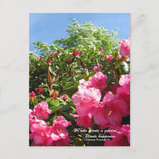 Rhododendron och Dogwood med kinesiskt ordspråk Vykort