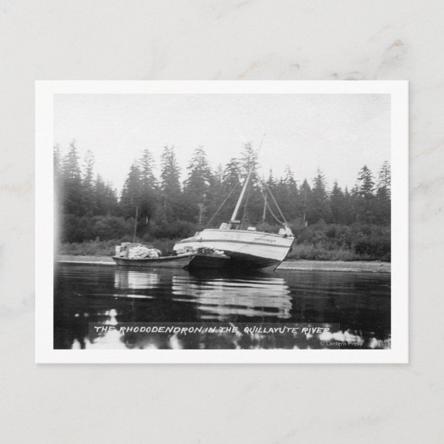 Rhododendron på Quillayute River Vykort (Framsida)