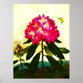 Rhododendron Poster