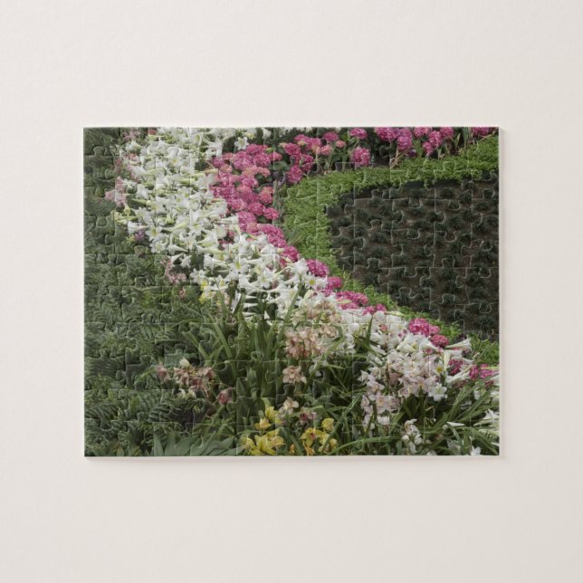 Rhododendron (Rhododendron catawbiense) ljunghed Pussel (Horisontell)