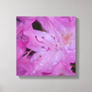 Rhododendron slågen in kanfas canvastryck