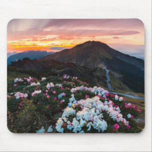 Rhododendron som blommar den Taroko Musmatta