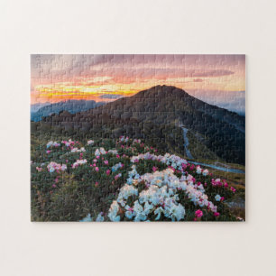 Rhododendron som blommar den Taroko Pussel