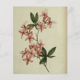Rhododendron Study Scrapbook Papper