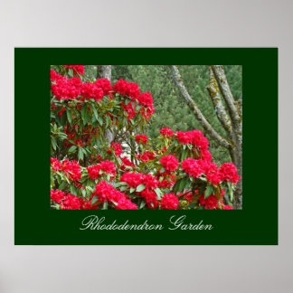 Rhododendron trädgård konsttryck Kontorskonst Poster
