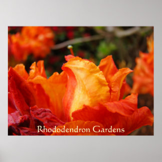 Rhododendron Trädgårdar konsttryck Kontor Poster