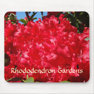Rhododendron Trädgårdar musmattor Röda Rhodies