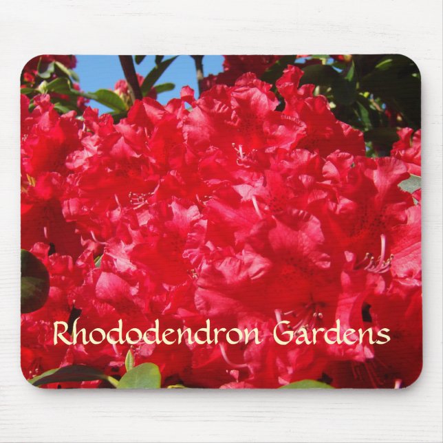 Rhododendron Trädgårdar musmattor Röda Rhodies (Framsidan)
