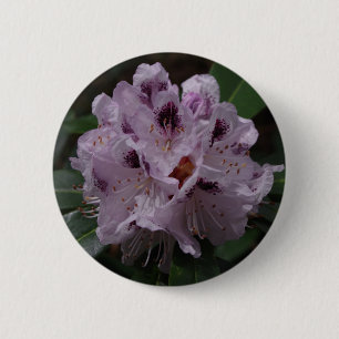 Rhododendron, underlur knapp