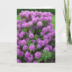 Rhododendron vän kort