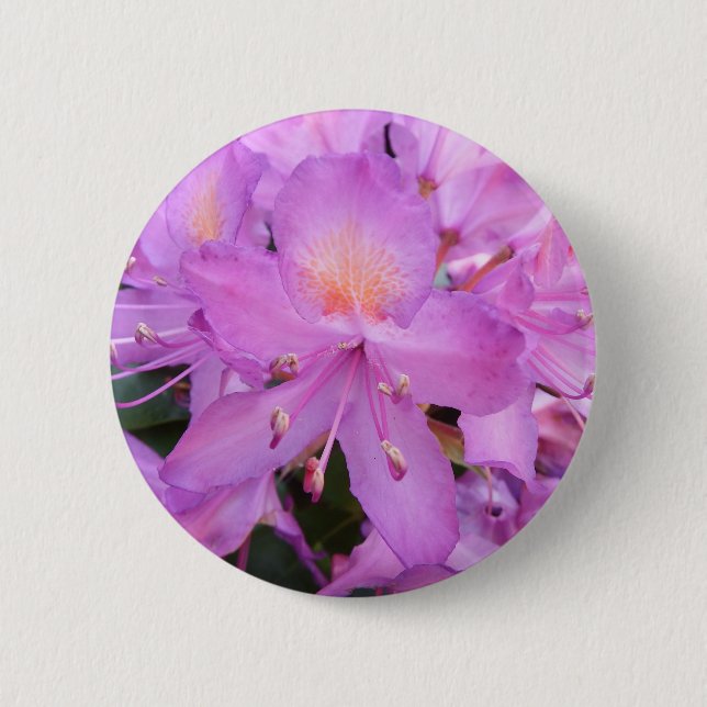 Rhododendronblommaemblem Knapp (Framsida)