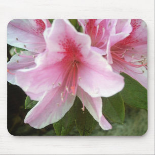 Rhododendronblommor Musmatta