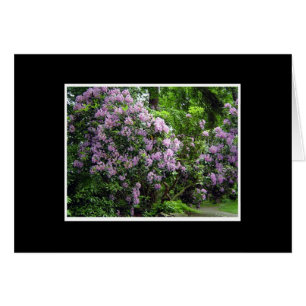 Rhododendronlund Hälsningskort