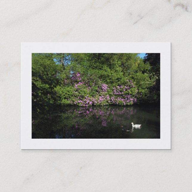 Rhododendrons (gränsad) visitkort (Framsida)