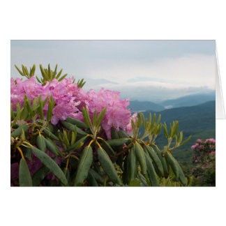 Rhododendrons Hälsningskort