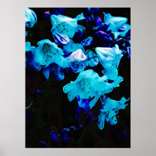 Rhododendrons in Blue, Blommigt, Blåa blommor Poster