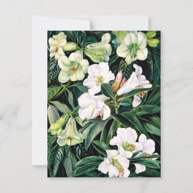 Rhododendrons of North India Kort (Framsida)