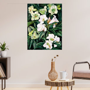 Rhododendrons of North India Poster