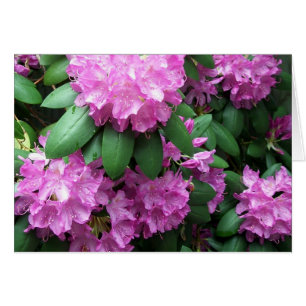 Rhododendronträdgård Hälsningskort