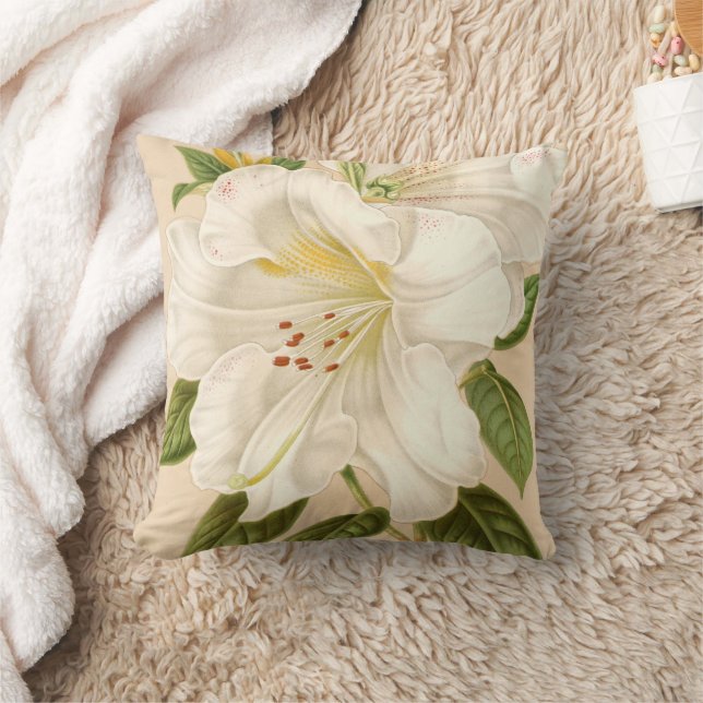 Rhododendrum Sesterianum, Vintagens Blommigt Kudde (Filt)