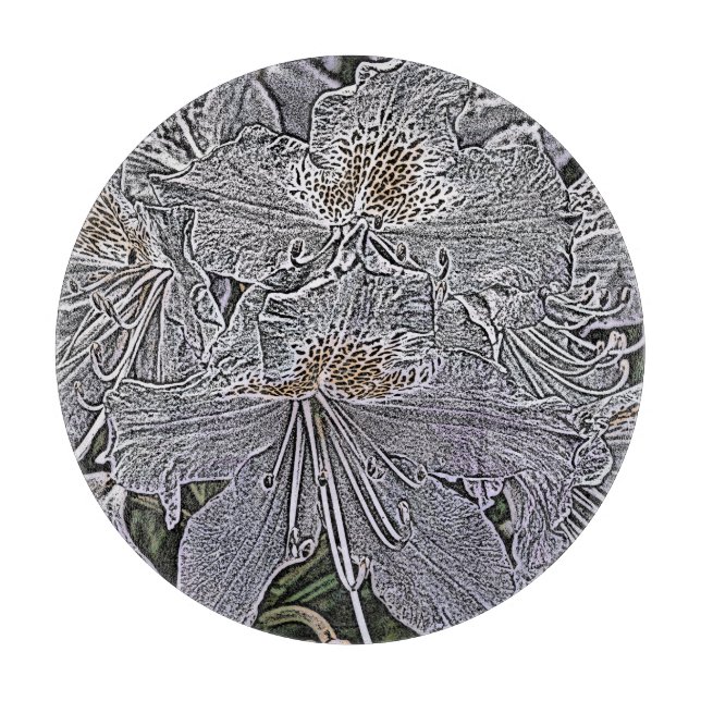 RHODODRONS (Framsidan)