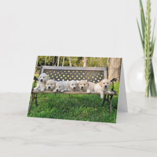 Rhondas Valor Litter Bench Photo Kort