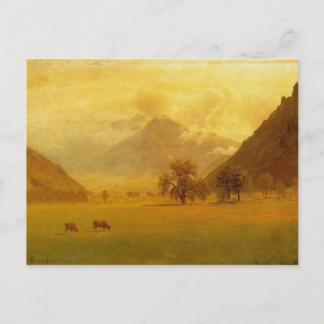 Rhone Valley Vykort (Framsida)