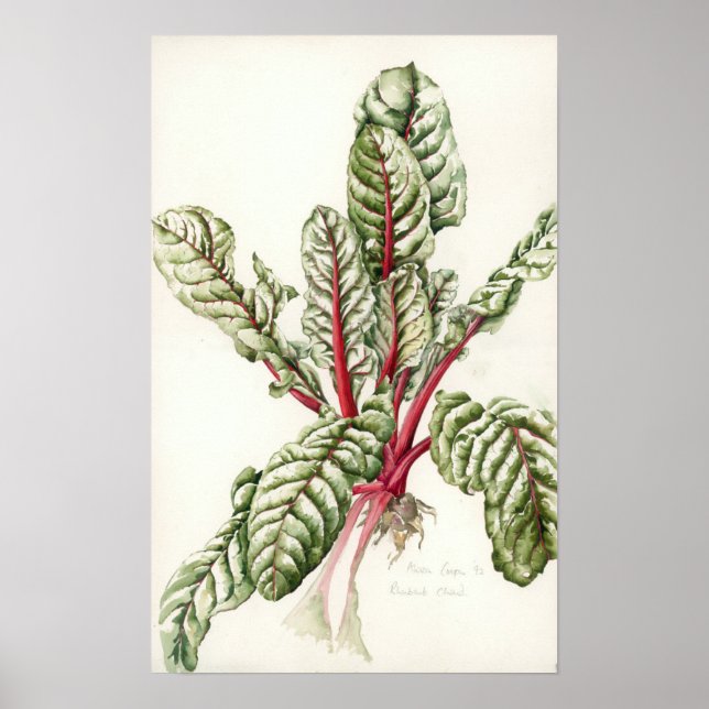 Rhubarb Chard 1992 Poster (Framsidan)