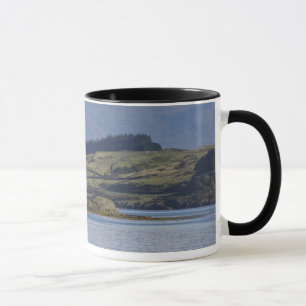Rhue fyr mugg