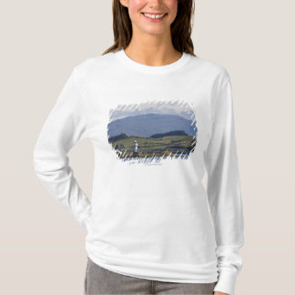 Rhue fyr tee shirt