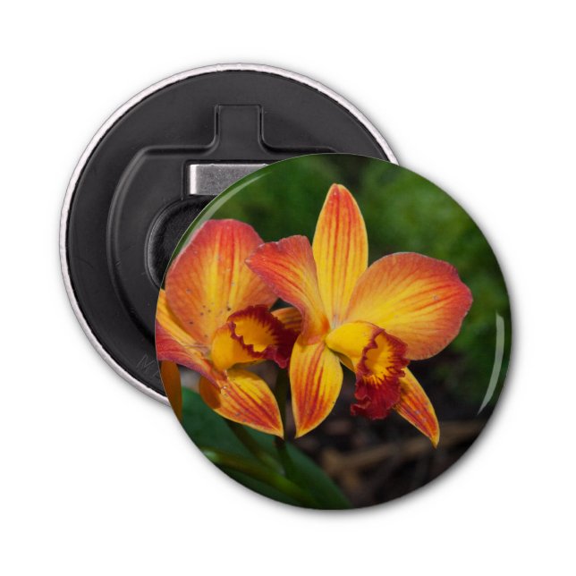 Rhyncattleanthe Kärlek Tapestry Flasköppnare (Framsidan)