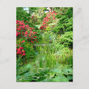 RI Garden-vykort Vykort