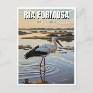 Ria Formosa Natural Park Portugal Travel Vykort