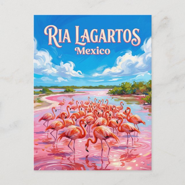 Ria Lagartos biosfärområde Mexiko Vykort (Framsida)