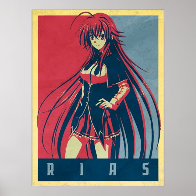 Rias Polisskola DxD Poster (Framsidan)