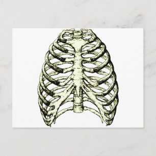 Rib Cage Bronze Vykort