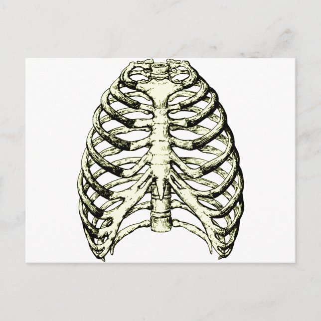 Rib Cage Bronze Vykort (Framsida)
