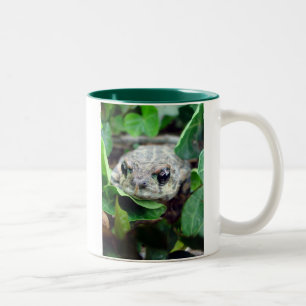 Ribbit Ribbit Två-Tonar muggen Två-Tonad Mugg