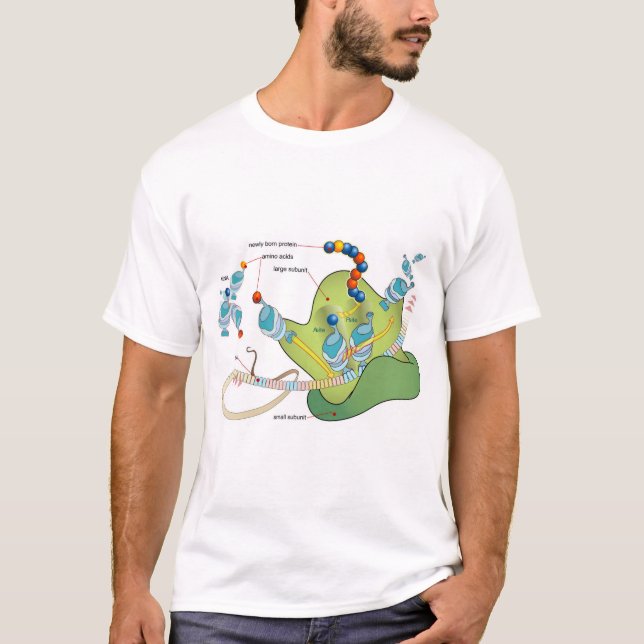 Ribosome mRNA tRNA molecules proteins Diagram  T Shirt (Framsida)