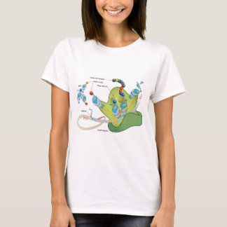 Ribosome mRNA tRNA molecules proteins Diagram  T Shirt