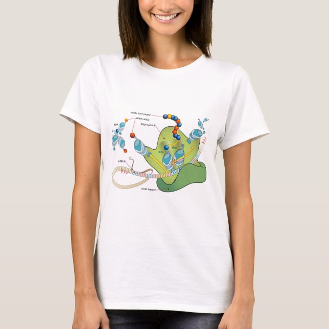 Ribosome mRNA tRNA molecules proteins Diagram  T Shirt (Framsida)
