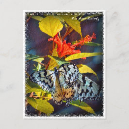 Rice Paper Butterfly Vykort