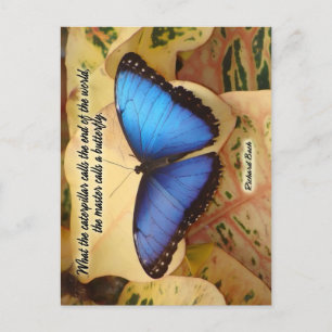 Richard Bach-The Caterpelaren Vykort